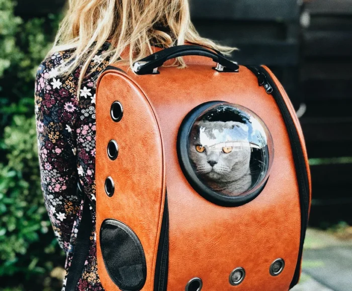 raoul-droog-Ea8rP2Ebp_4-unsplash_optimized Proin Sagittis